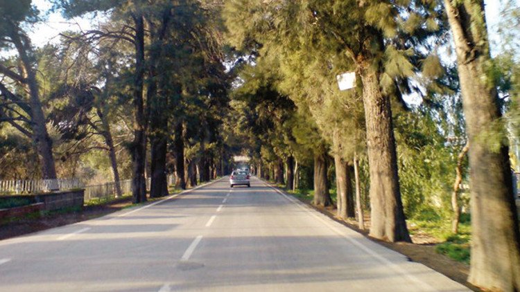 Bornova Ağaçlı Yol Espero Psikoloji