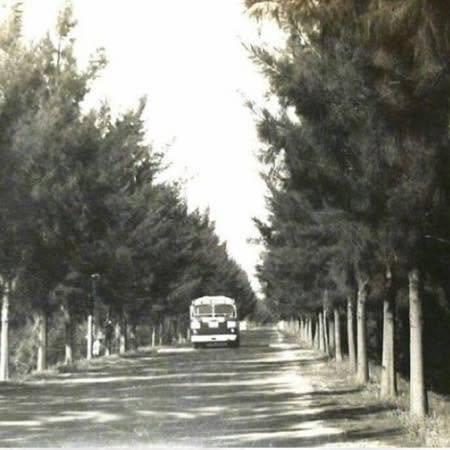 Bornova Ağaçlı Yol Espero Psikoloji2